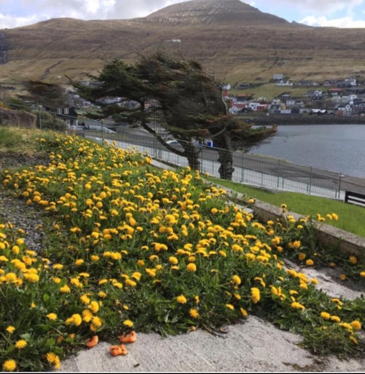 The Atlantic View Guest House, Sandavagur, Faroe Islands Exterior photo